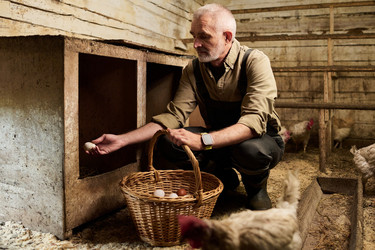 Similar image 21983726