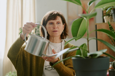 Similar image 21983283