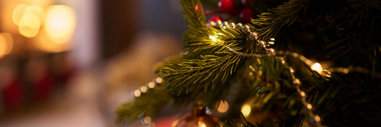 Similar image 21984718