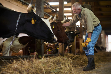 Similar image 21983716