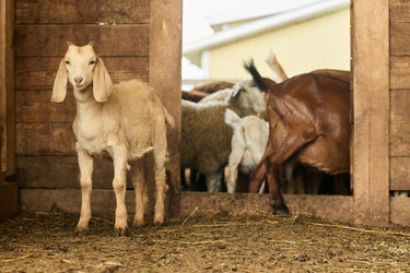 Similar image 21983787