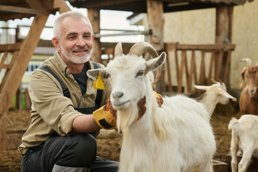 Similar image 21983748