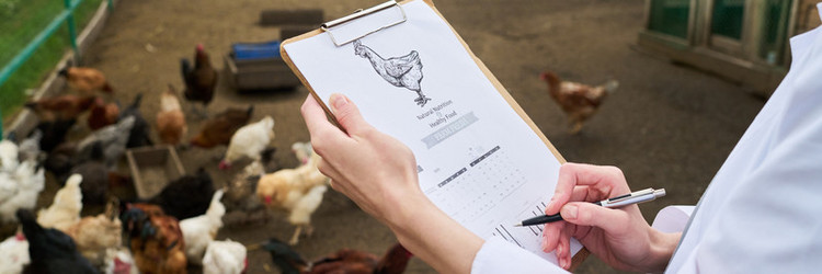 Similar image 21983790