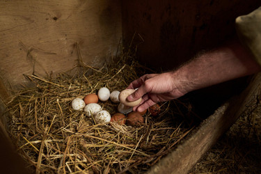 Similar image 21983736