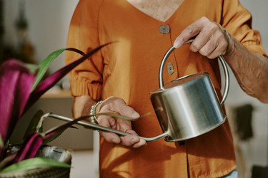 Similar image 21983424