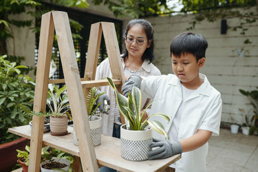 Similar image 21984815