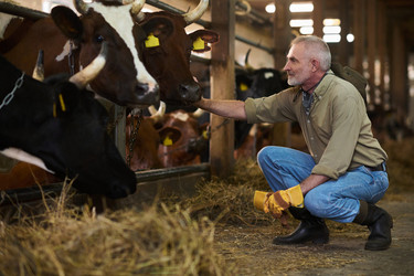 Similar image 21983832