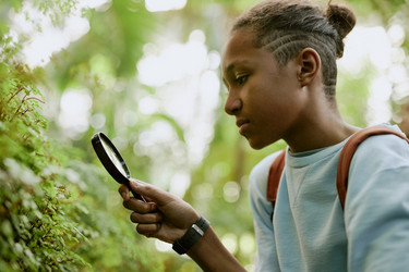 Similar image 21982711