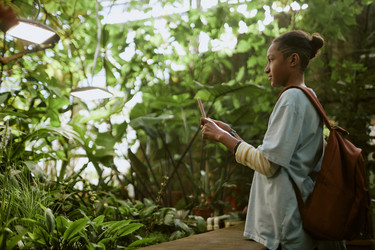 Similar image 21982731