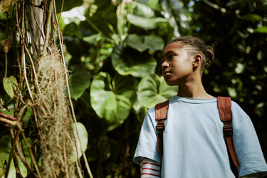 Similar image 21982740