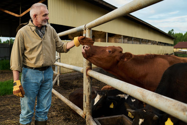 Similar image 21983728