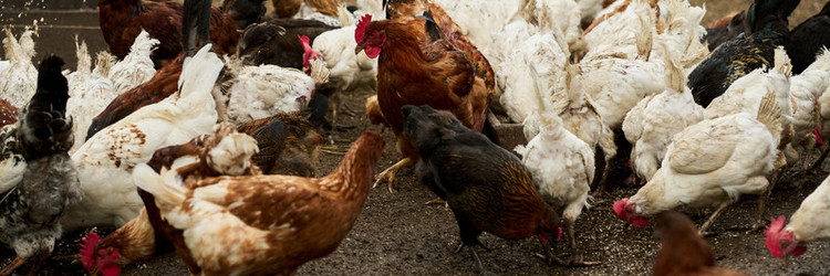 Similar image 21983812