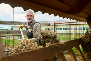 Similar image 21983848