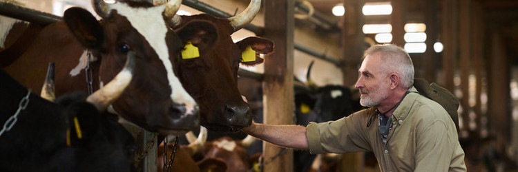 Similar image 21983831