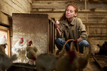 Similar image 21983751