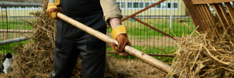 Similar image 21983851