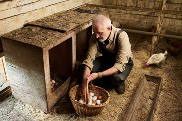 Similar image 21983731