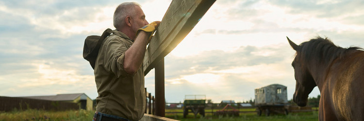 Similar image 21983844