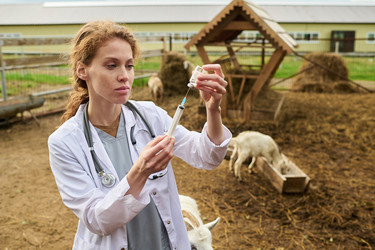 Similar image 21983788