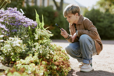 Similar image 21982726