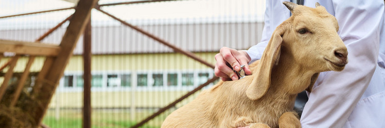 Similar image 21983859