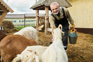 Similar image 21983729