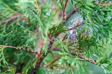 Similar image 21978014