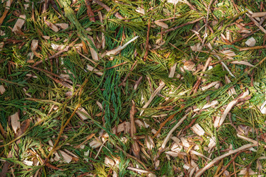 Similar image 21988518