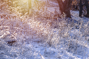 Similar image 21988519