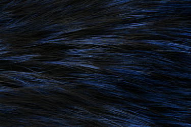 Similar image 21978517