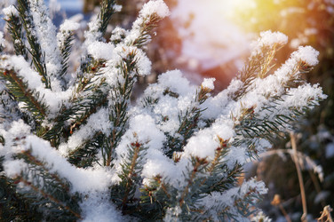 Similar image 21978016