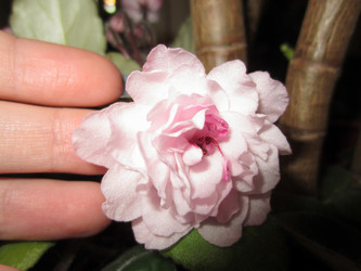 Similar image 21978518