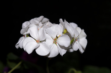 Similar image 21990372