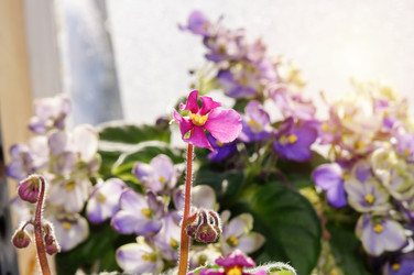 Similar image 21990373