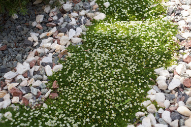 Similar image 21985991