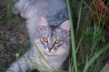 Similar image 21990383