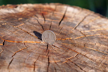 Similar image 21990387