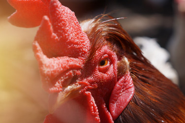 Similar image 21978024