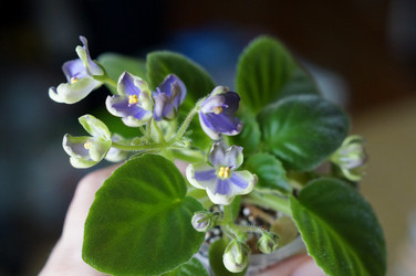 Similar image 21978521