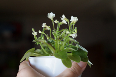 Similar image 21988393