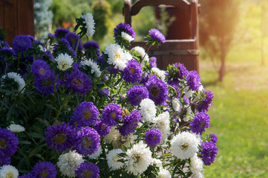 Similar image 21990388