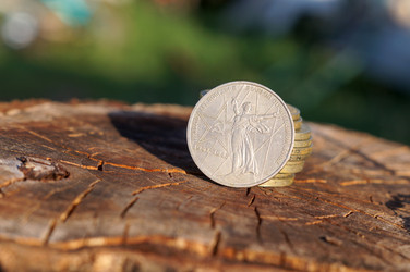 Similar image 21978523