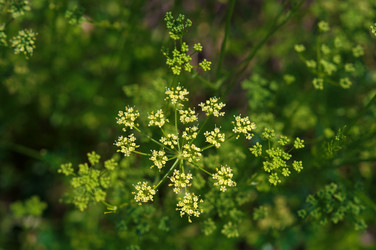 Similar image 21978524