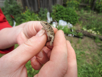 Similar image 21978025