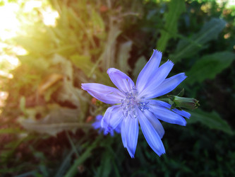 Similar image 21979938