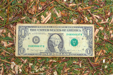 Similar image 21978027