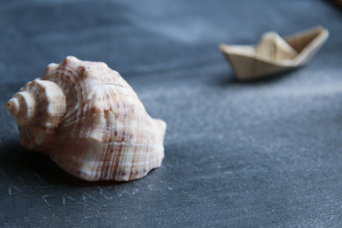 Similar image 21988922