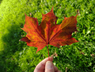 Similar image 21988925