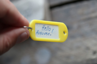 Similar image 21988943