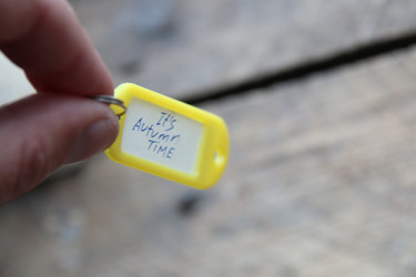 Similar image 21988955